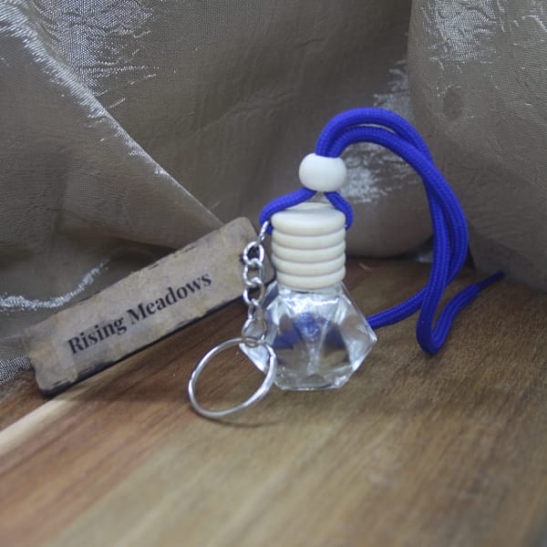 Rising Meadows 9g luxury diamond bottle car diffuser