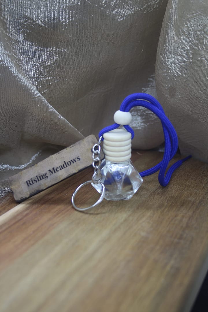 Rising Meadows 9g luxury diamond bottle car diffuser